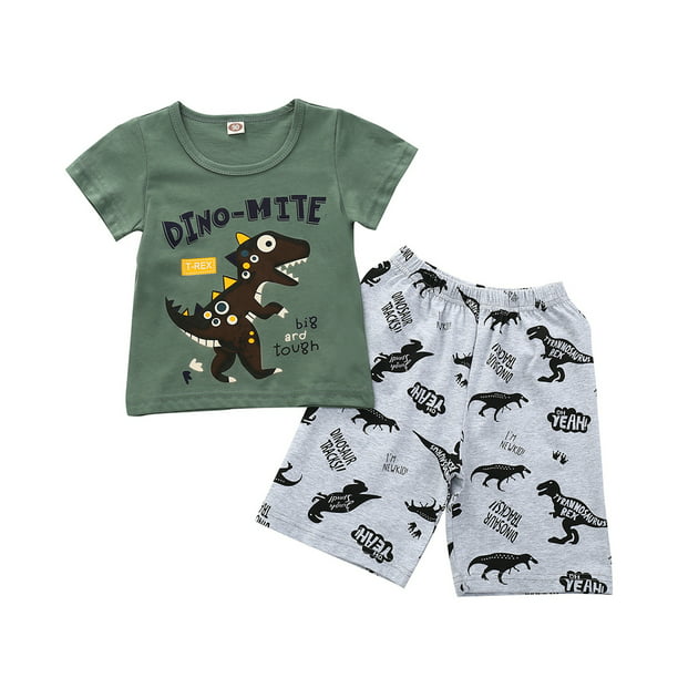 Toddler Kids Boys Dinosaur Pyjamas Pjs Set Casual T-shirt Top Tee Shorts Clothes